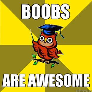 Observational Owl