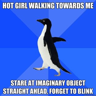 Socially Awkward Penguin