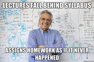 Engineering Professor