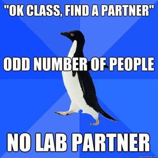 Socially Awkward Penguin