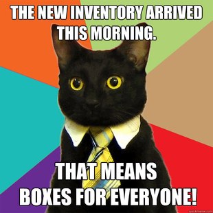 Business Cat