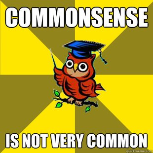 Observational Owl