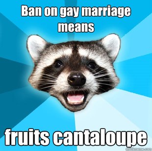 Lame Pun Coon