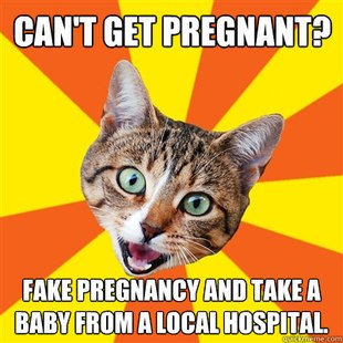 Bad Advice Cat