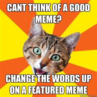 Bad Advice Cat