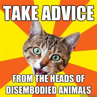 Bad Advice Cat