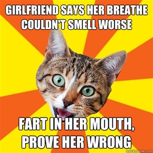 Bad Advice Cat