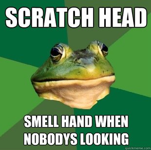 Foul Bachelor Frog