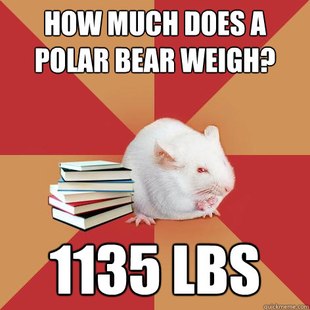 Science Major Mouse