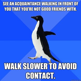 Socially Awkward Penguin