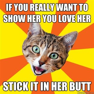 Bad Advice Cat
