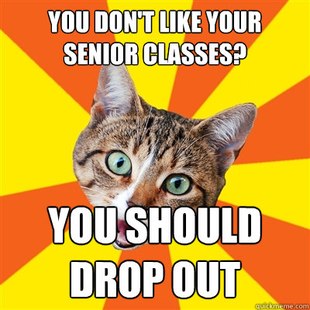 Bad Advice Cat