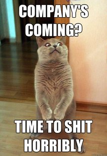 Horrorcat
