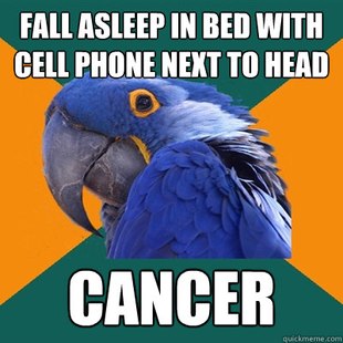 Paranoid Parrot