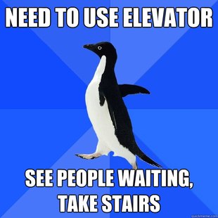 Socially Awkward Penguin