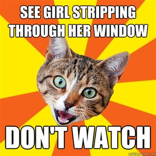 Bad Advice Cat