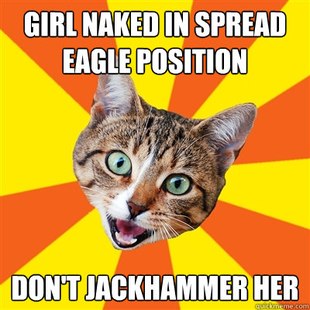 Bad Advice Cat