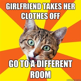 Bad Advice Cat