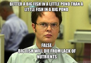 Schrute