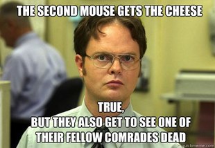 Schrute