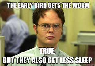Schrute