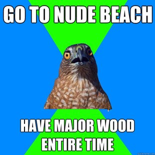 Hawkward