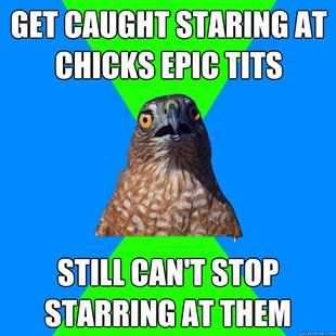 Hawkward
