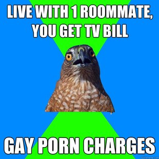 Hawkward