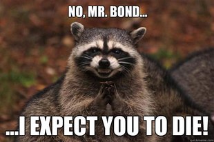 Evil Plotting Raccoon
