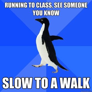 Socially Awkward Penguin