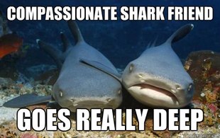 Compassionate Shark Friend
