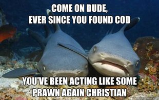 Compassionate Shark Friend