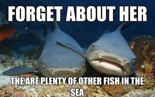 Compassionate Shark Friend