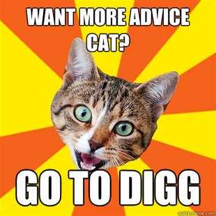 Bad Advice Cat
