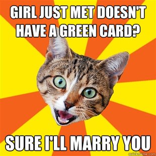Bad Advice Cat