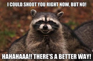 Evil Plotting Raccoon