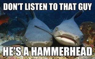 Compassionate Shark Friend