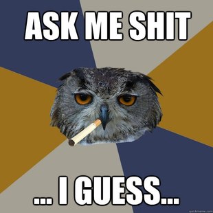 Art Student Owl