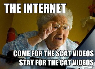 Grandma finds the Internet