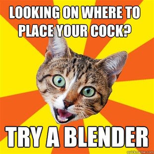Bad Advice Cat