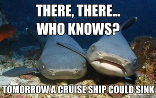 Compassionate Shark Friend