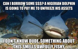 Compassionate Shark Friend