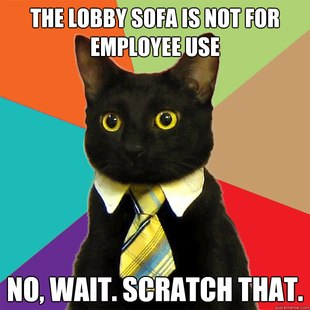Business Cat