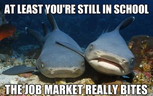 Compassionate Shark Friend