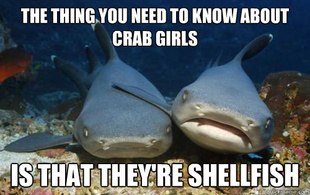 Compassionate Shark Friend