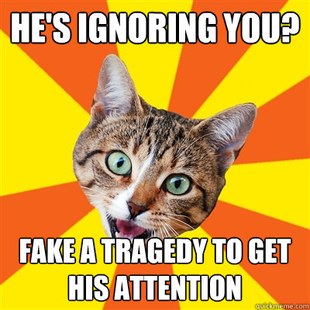 Bad Advice Cat