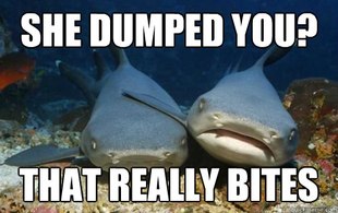 Compassionate Shark Friend