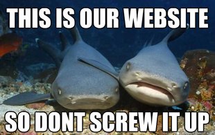 Compassionate Shark Friend
