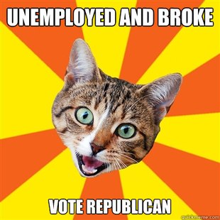Bad Advice Cat