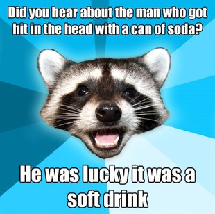 Lame Pun Coon